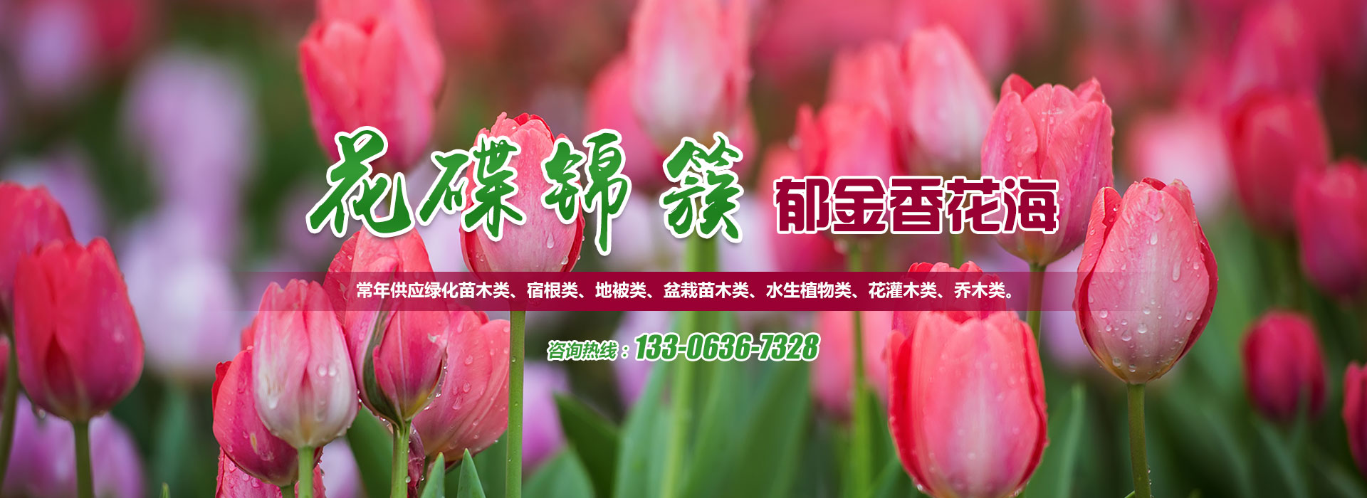 濰坊金盟機(jī)械制造有限公司